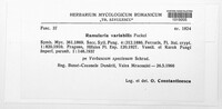 Image Associated With the Occurence